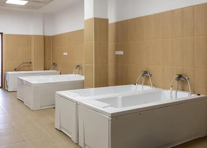 Complex Bran-brad-bega Hotel