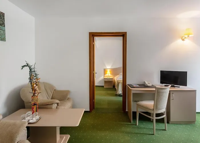 Complex Bran-brad-bega