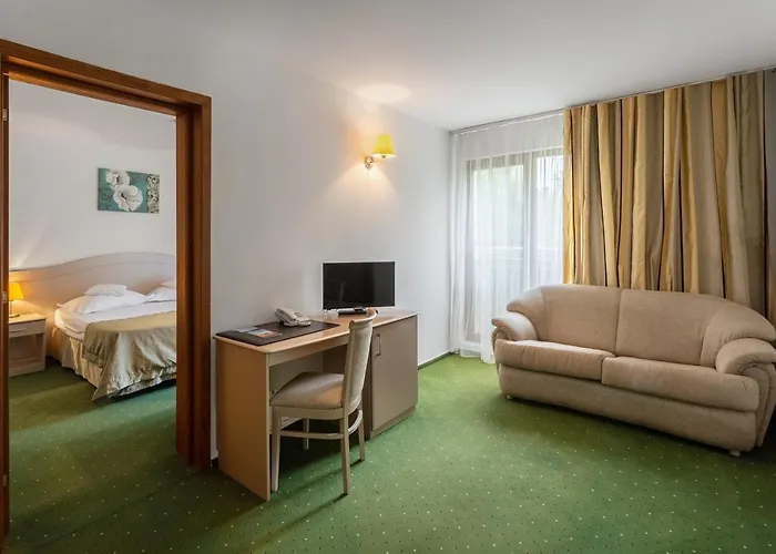 Complex Bran-brad-bega Hotel