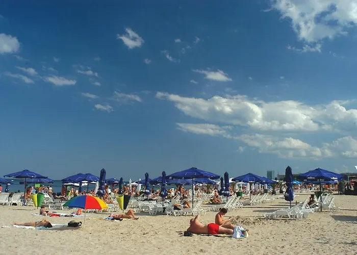 Complex Bran-brad-bega Hotel