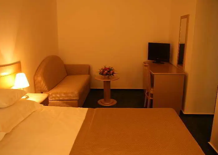 Complex Bran-brad-bega Hotel