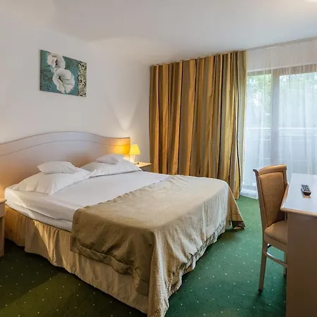 Complex Bran-brad-bega מלון אפורי נורד