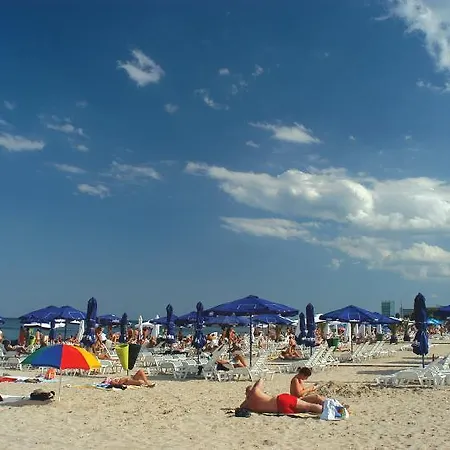 Complex Bran-brad-bega מלון