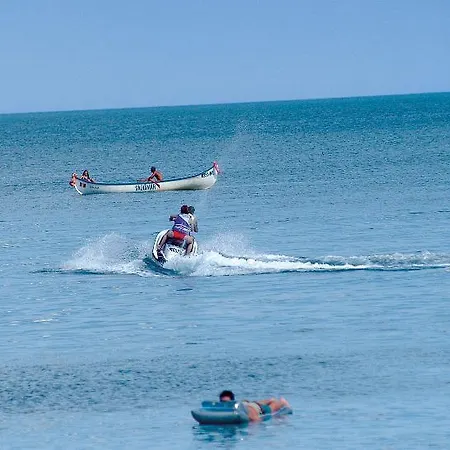 Complex Bran-brad-bega מלון 4*