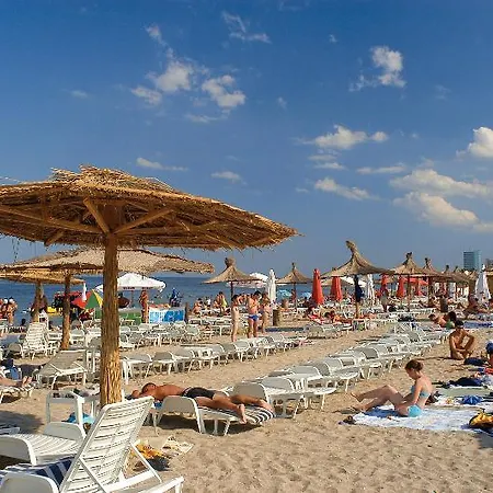 Complex Bran-brad-bega מלון אפורי נורד