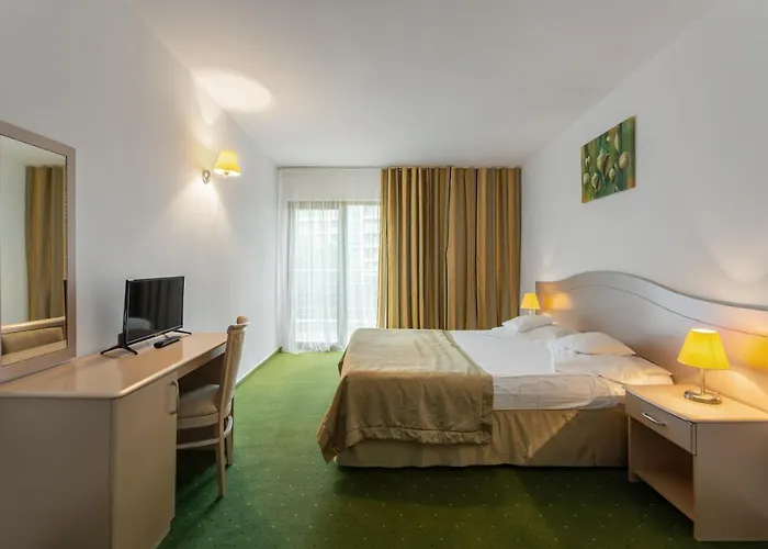 Complex Bran-brad-bega Hotel