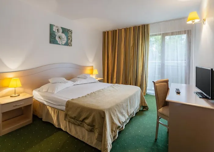 Complex Bran-brad-bega Hotel Eforie Nord