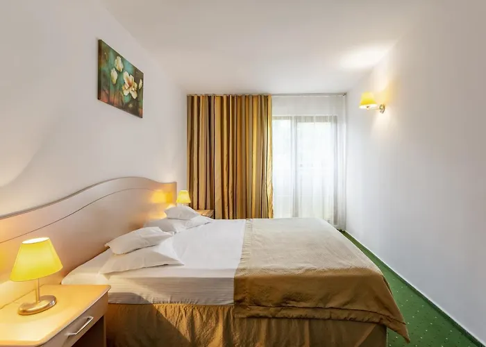 Complex Bran-brad-bega Hotel Eforie Nord