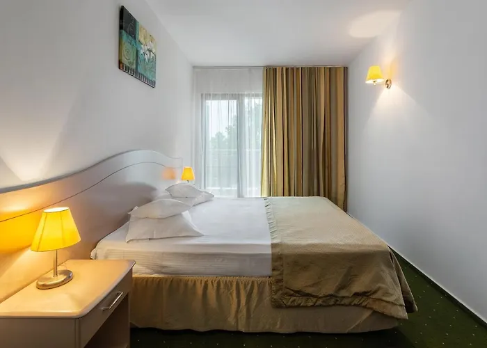 Hotel Complex Bran-brad-bega 4*