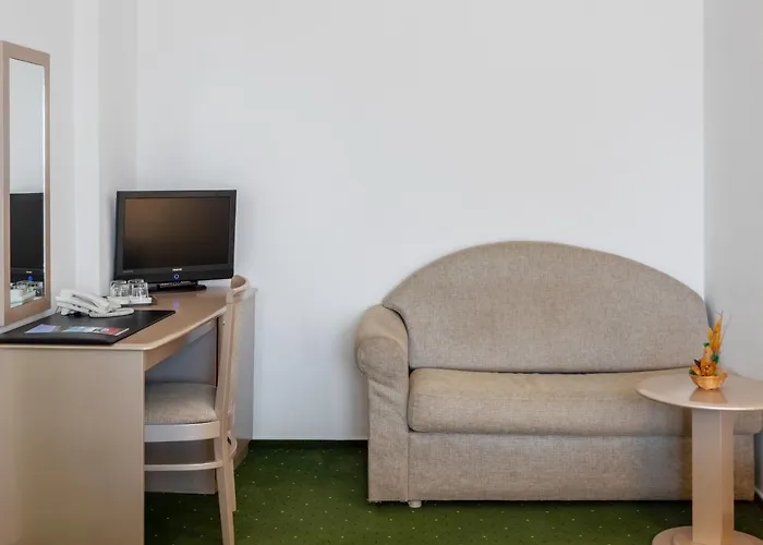 Hotel Complex Bran-brad-bega 4*