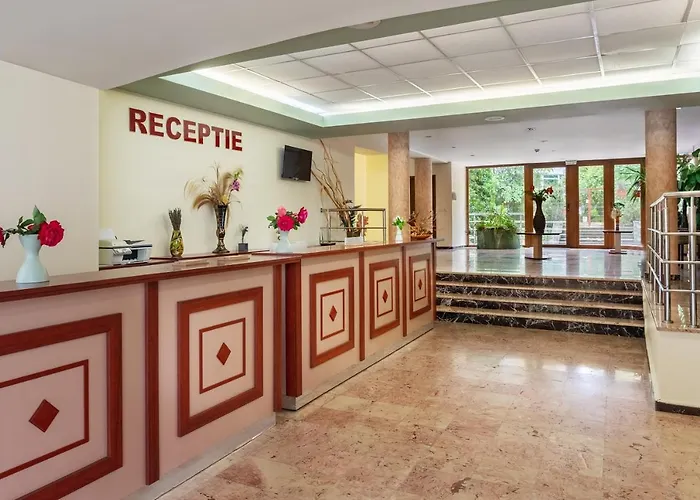 Complex Bran-brad-bega Hotel