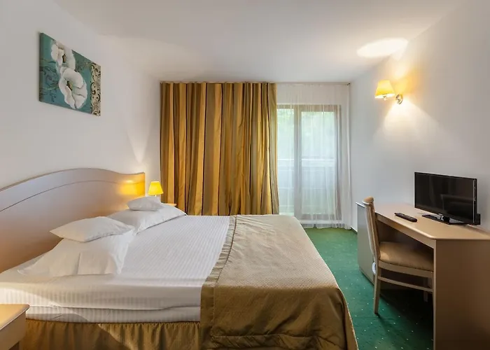 Complex Bran-brad-bega Hotel Eforie Nord